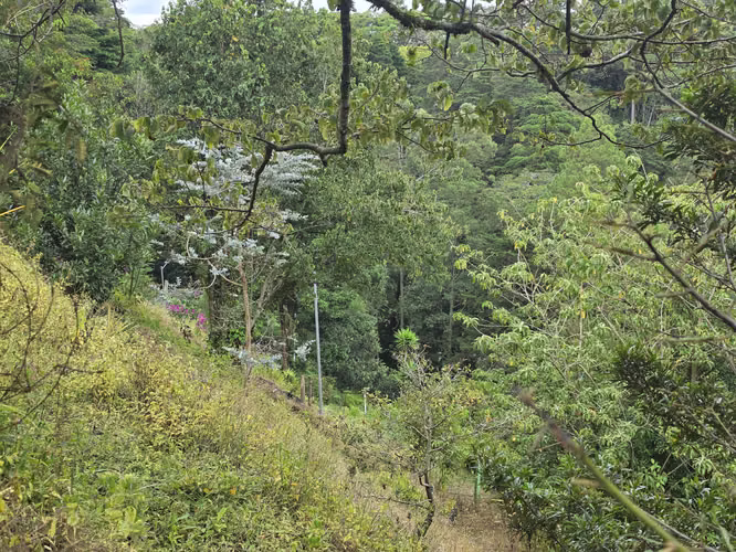 Oportunidad Propiedad San José de la Montaña, Barva, Heredia - Imagen 15