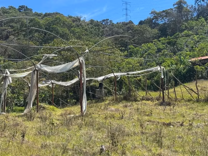 Estructura de Invernadero