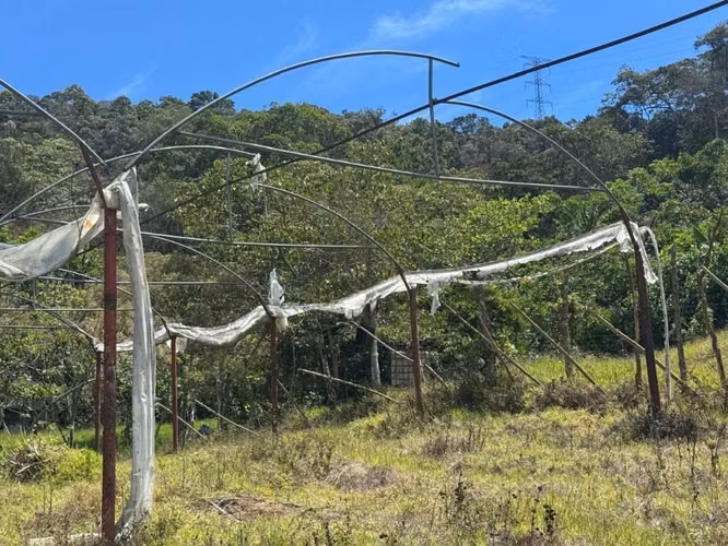Estructura de Invernadero