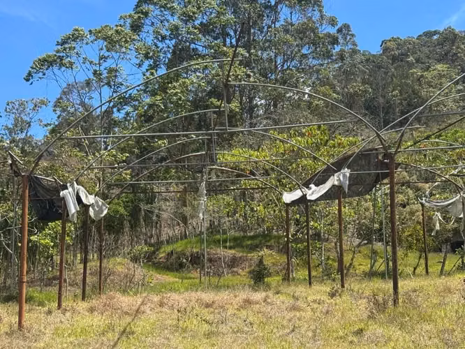 Estructura de Invernadero