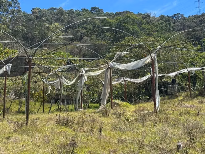Estructura de Invernadero