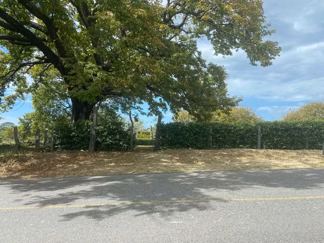 Venta de Terreno en Cañas, Guanacaste 07