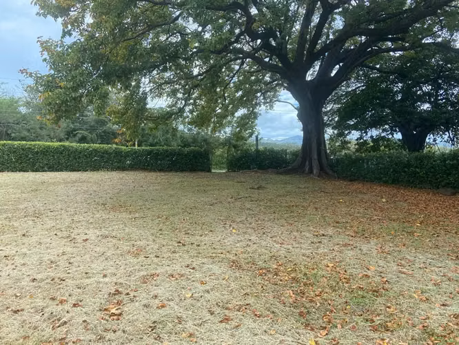 Venta de Terreno en Cañas, Guanacaste 07