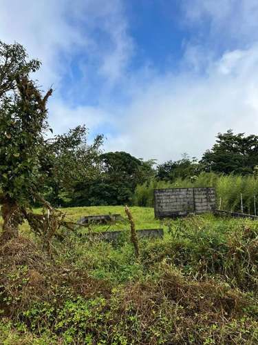 Amplia finca en Parcelas de Zapotal, San Ramón, Alajuela - Imagen 4