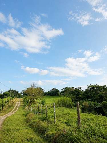 Amplia finca en Parcelas de Zapotal, San Ramón, Alajuela - Imagen 5