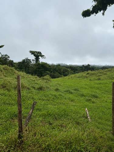 Amplia finca en Parcelas de Zapotal, San Ramón, Alajuela - Imagen 9
