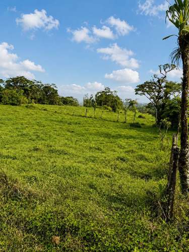 Amplia finca en Parcelas de Zapotal, San Ramón, Alajuela - Imagen 7
