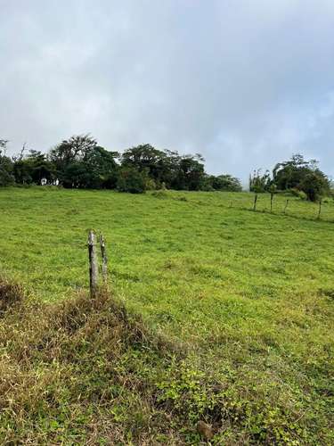 Amplia finca en Parcelas de Zapotal, San Ramón, Alajuela - Imagen 3