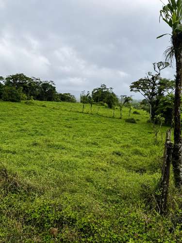 Amplia finca en Parcelas de Zapotal, San Ramón, Alajuela - Imagen 8