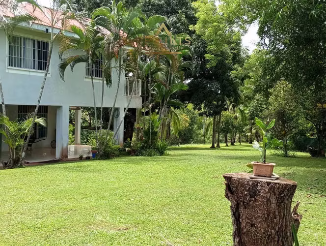 The Costa Rican Dream – Nature, Privacy & Pacific Beaches!