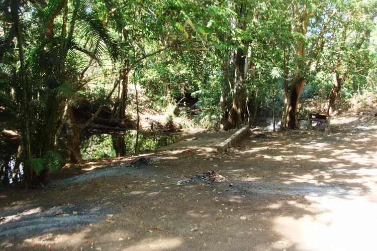 The Costa Rican Dream – Nature, Privacy & Pacific Beaches!