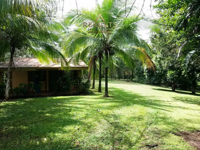 The Costa Rican Dream – Nature, Privacy & Pacific Beaches!