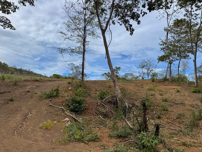 TERRENOS PARA DESARROLLO EN PLAYA POTRERO, GUANACASTE