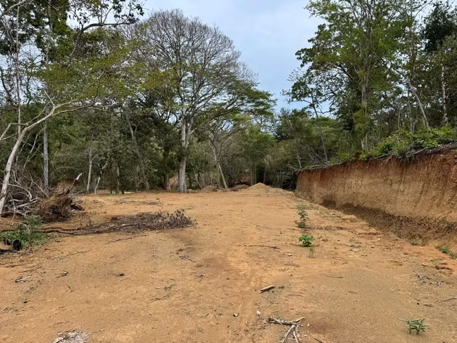 TERRENOS PARA DESARROLLO EN PLAYA POTRERO, GUANACASTE