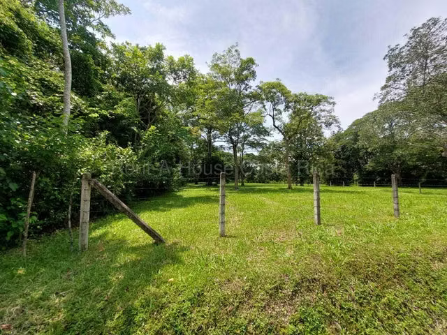  Venta de Lote Plano en Coyolar de Orotina.  MJM - Imagen 4