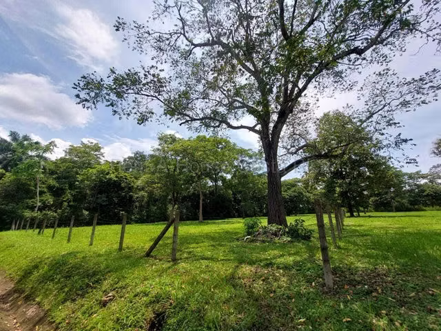  Venta de Lote Plano en Coyolar de Orotina.  MJM - Imagen 5