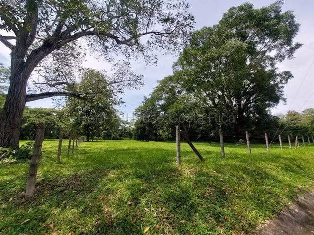  Venta de Lote Plano en Coyolar de Orotina.  MJM - Imagen 9