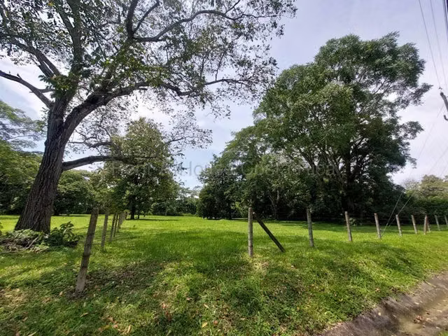  Venta de Lote Plano en Coyolar de Orotina.  MJM - Imagen 7