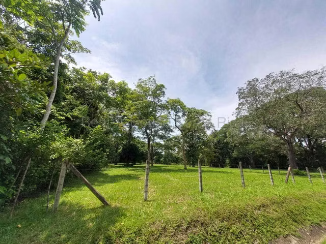  Venta de Lote Plano en Coyolar de Orotina.  MJM - Imagen 3