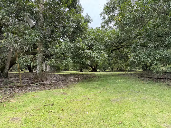 FINCA ESPARZA 14.5 has Ideal para urbanizar