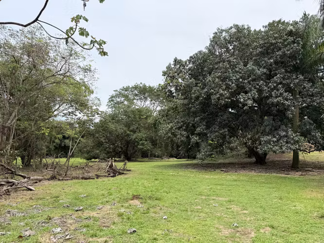 FINCA ESPARZA 14.5 has Ideal para urbanizar
