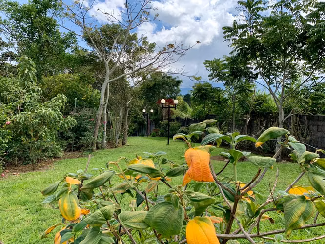Lote de 352.36 m2 - San Isidro Heredia - Imagen 6
