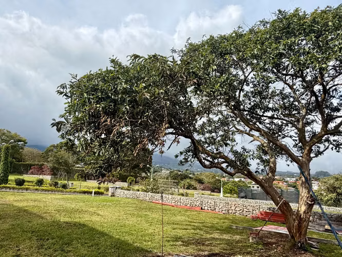 LOTE DE 340,21 M2 EN EXCLUSIVO CONDOMINIO - Imagen 6