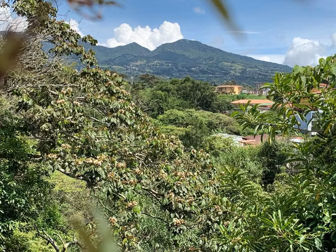 LOTE DE 340,21 M2 EN EXCLUSIVO CONDOMINIO - Imagen 16