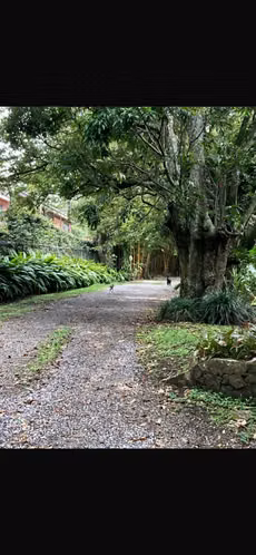 ALQUILER CASA AMOBLADA DE UNA PLANTA $ 1.550 GUACHIPELIN - Imagen 5