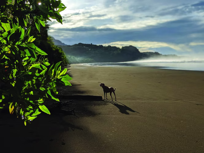 VIDA DE PLAYA. EMPIEZA AQUÍ. - Imagen 7