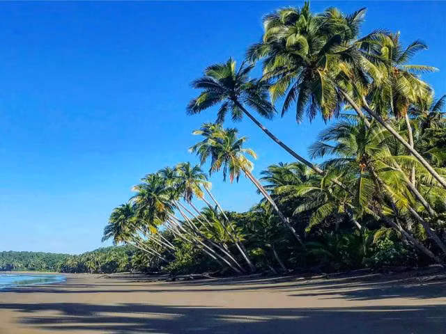 VIDA DE PLAYA. EMPIEZA AQUÍ. - Imagen 8