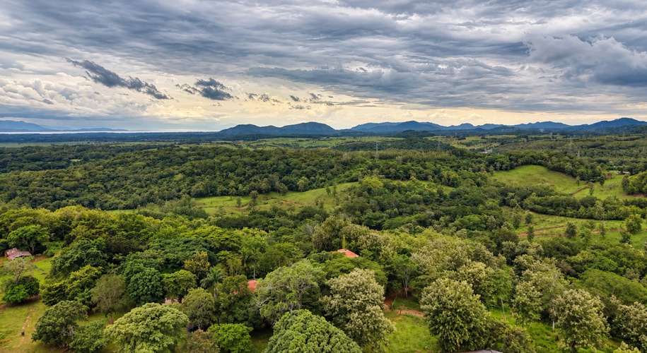 Propiedad de Lujo en Venta en Puntarenas | 2.3 Hectáreas, Vista al Océano y 3 Casas - Imagen 17