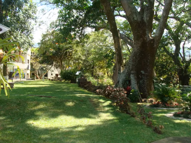 Apartamento en condominio en Santa Ana centro - Imagen 13