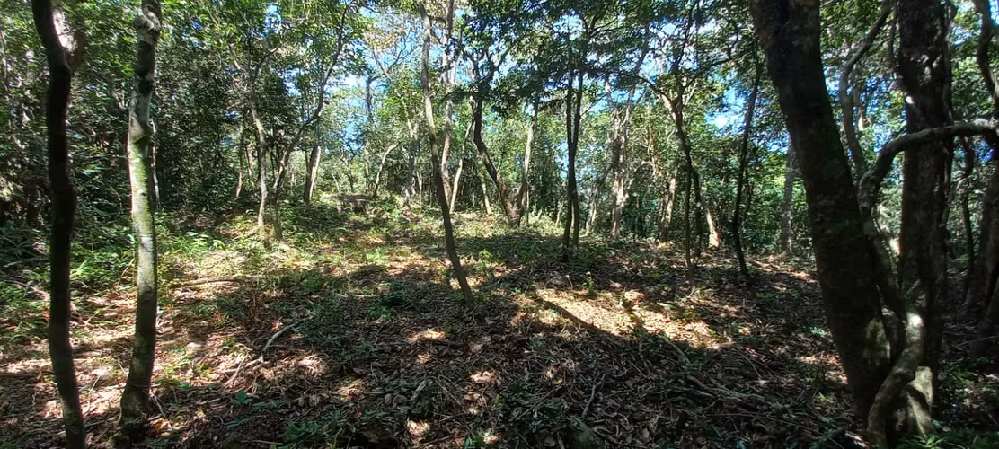 La Lindora, Monteverde 2 beautiful lots