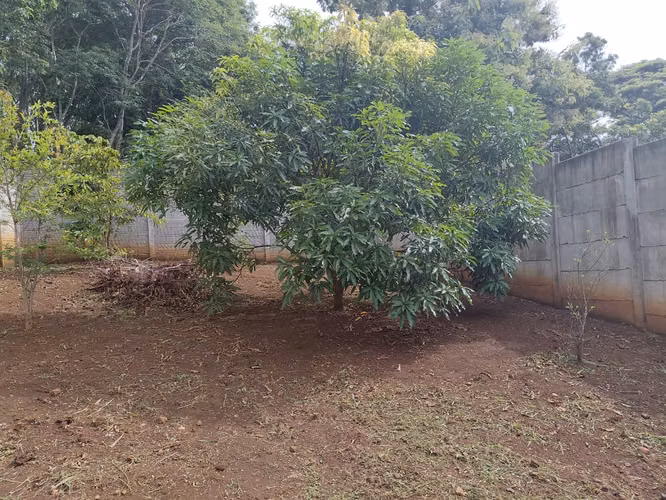 Venta Hermosa Propiedad Orotina - Imagen 13