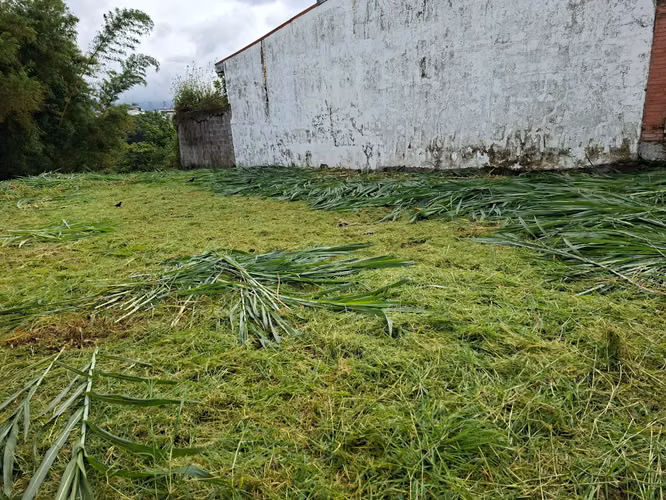 Lote en venta en Barrio Mexico - Independiente- cerca de la Escuela Costa Rica - Imagen 4