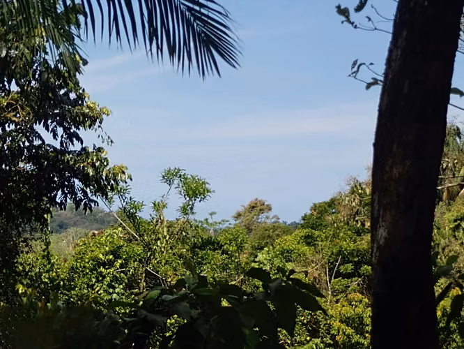 Pacific Paradise Resort – Exclusiva Oportunidad de Inversión Hotelera en Quepos, Costa Rica - Imagen 17