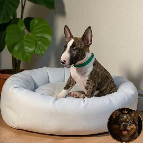 Bull Terrier