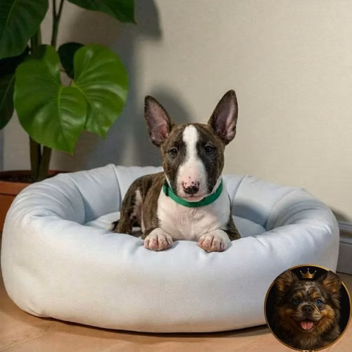 Bull Terrier