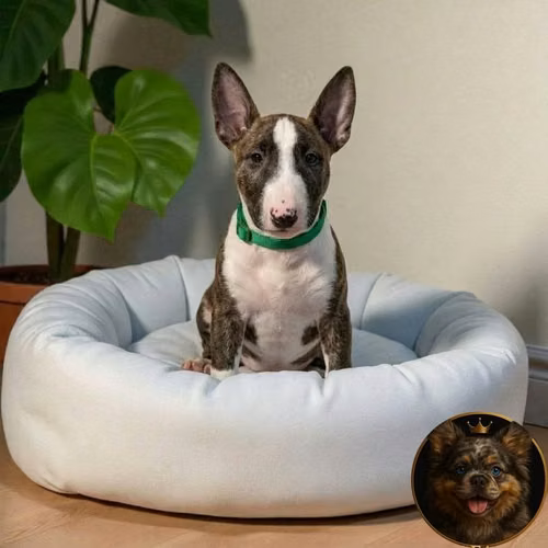 Bull Terrier