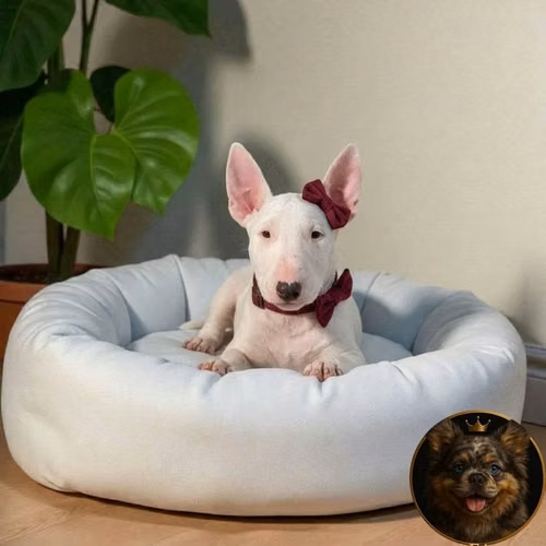 Bull Terrier