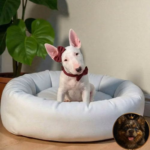 Bull Terrier