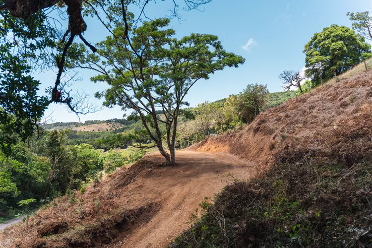 Quinta de 12.437 m² en Quebradillas de Dota – Bosque, Agua y Naturaleza - Imagen 9
