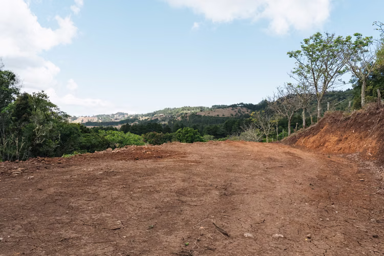 Quinta de 12.437 m² en Quebradillas de Dota – Bosque, Agua y Naturaleza - Imagen 4