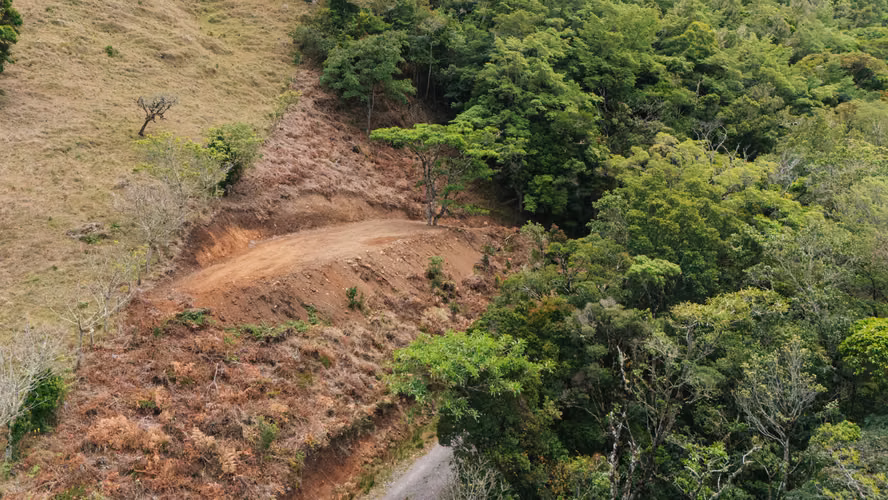 Quinta de 12.437 m² en Quebradillas de Dota – Bosque, Agua y Naturaleza - Imagen 5
