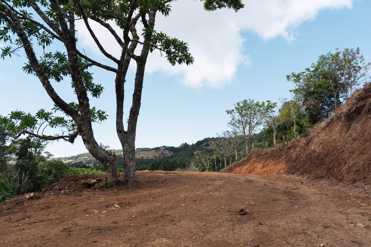 Quinta de 12.437 m² en Quebradillas de Dota – Bosque, Agua y Naturaleza - Imagen 14