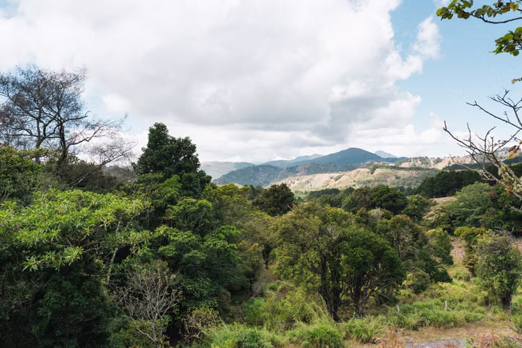 Quinta de 12.437 m² en Quebradillas de Dota – Bosque, Agua y Naturaleza - Imagen 17
