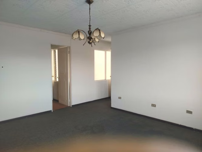¿Piscina privada, 314 m² y oficina en el corazón de Rohrmoser? Sí, es real y está disponible.  - Imagen 8