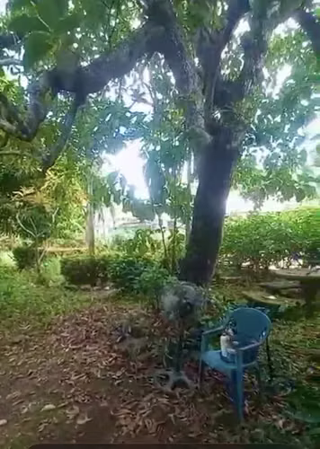 Belén, Carrillo. Casa con amplio terreno