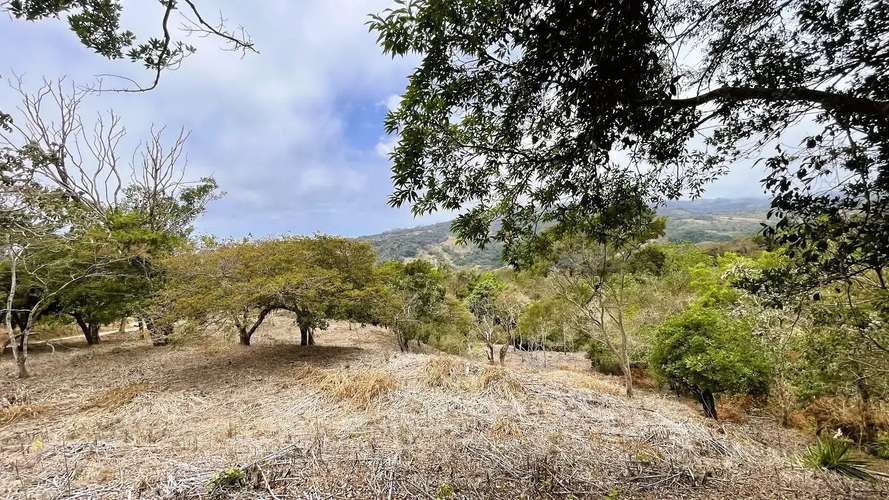 TERRENO EN VENTA EN SAN PEDRO, SAN RAMÓN - Imagen 9
